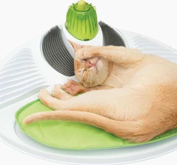 Catit Wellness center hierova kissasänky, 47 x 51,5 x 11,5 cm