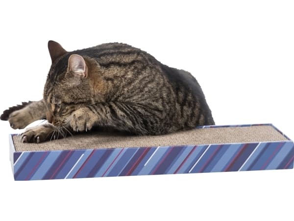 Trixie Kradseplade pap med catnip 50