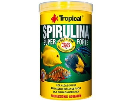 Tropical Super Spirulina Forte plantefôr til fisk 250ml/50g