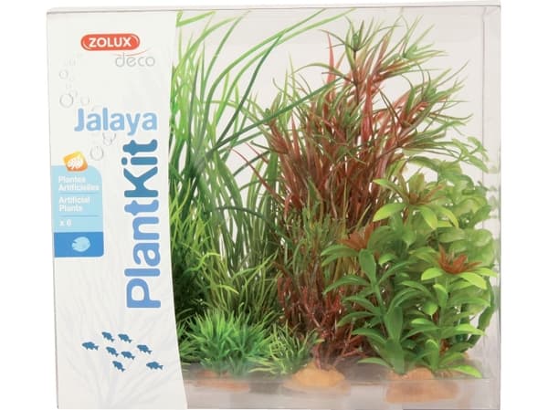 Zolux Plant decoration PlantKit Jalaya model 4 (352148)
