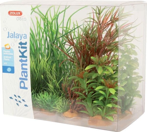 Zolux Plant decoration PlantKit Jalaya model 4 (352148)