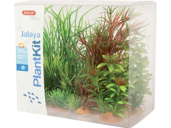 Zolux Plant decoration PlantKit Jalaya model 4 (352148)