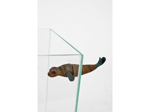 Zolux Aquatic decoration Breakout tank w/magnet model 5