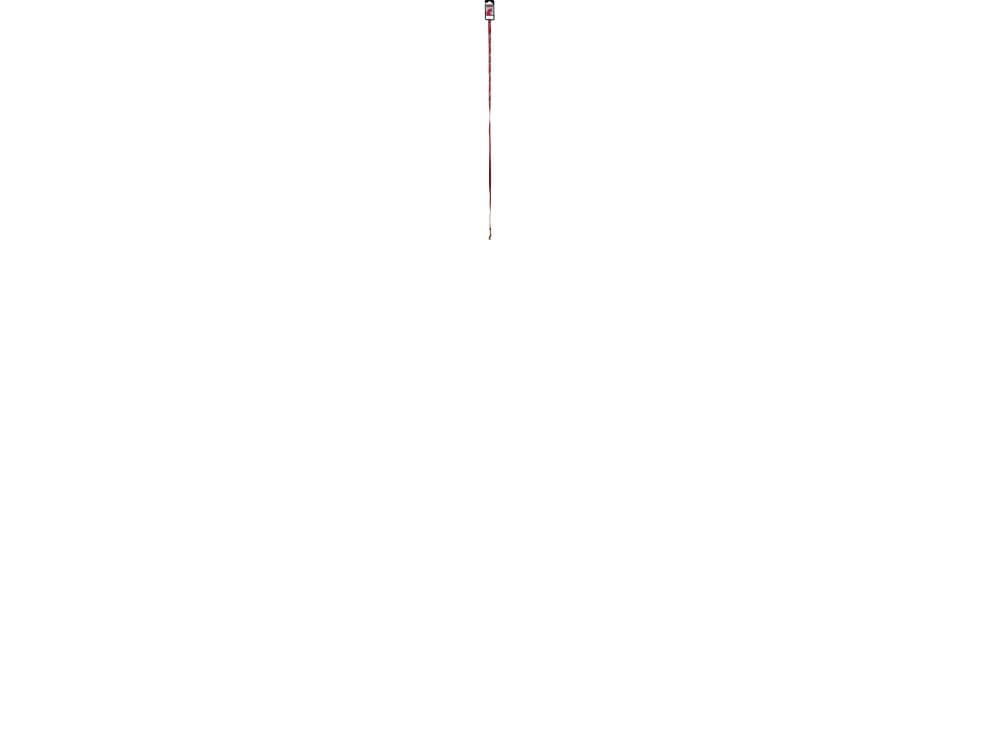 Zolux Nylon cat leash SARDINE 1 m red