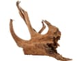 Pikkukuva 3 / 4: Zolux Mangrove Root 40-60 cm