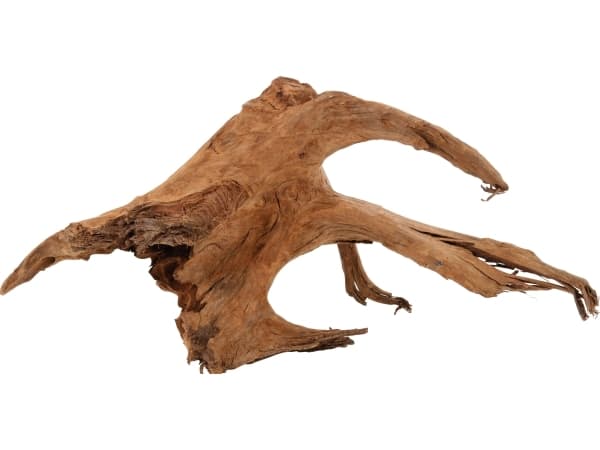 Zolux Mangrove Root 40-60 cm