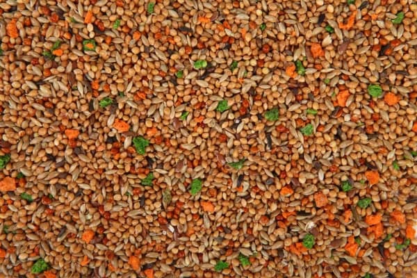 Megan ME10, Frø, 750 g, white millet, canary seeds, red millet, millet Laplata, linseed, senegalese millet, niger seed,...
