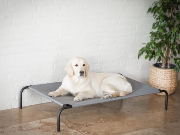 Hobbydog vuodevaatteet Silitysrauta, harmaa pellava, r. XXL