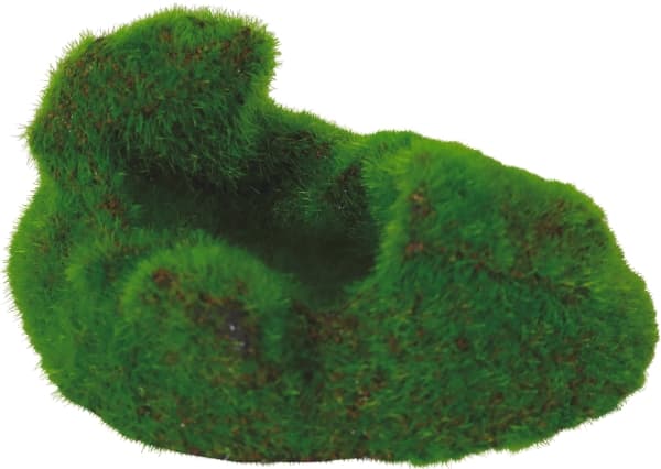 Zolux ZOLUX KIPOUSS rock aquarium decoration with seeds of live plants, 1 pcs (assorted)