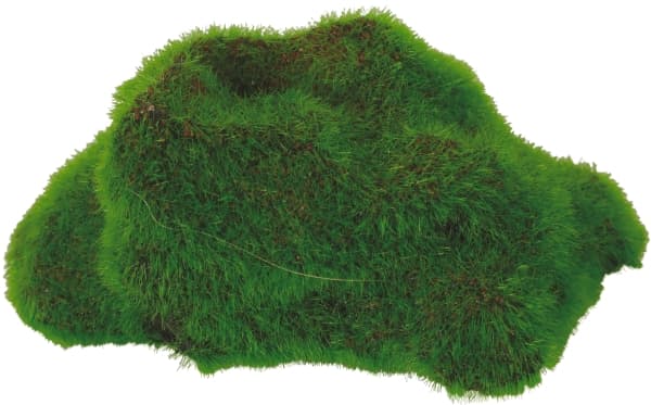 Zolux ZOLUX KIPOUSS rock aquarium decoration with seeds of live plants, 1 pcs (assorted)