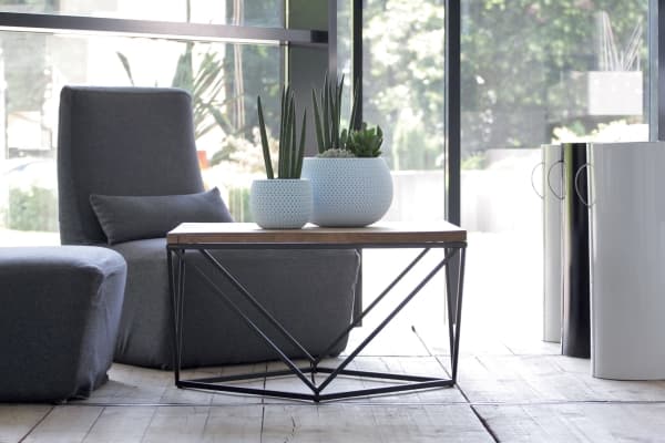 Prosperplast DKSP150-623U, Grønn, 144 mm, 110 mm, 1 stykker