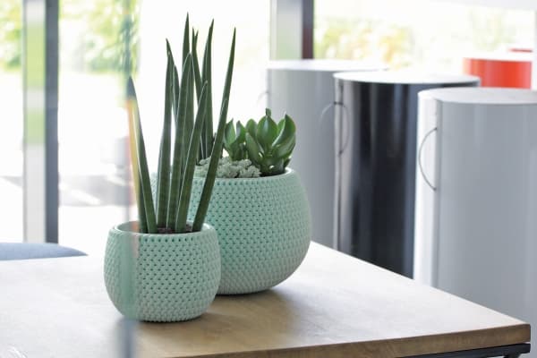 Prosperplast DKSP150-623U, Grønn, 144 mm, 110 mm, 1 stykker