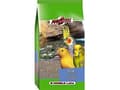 Miniatyrbild 2 av 3: Versele-Laga Grit with Coral 2.5kg, Frön, 2,5 kg, Parrot, Vitamin D3, Vitamin E, minerals (coral 15%), 2,5 kg