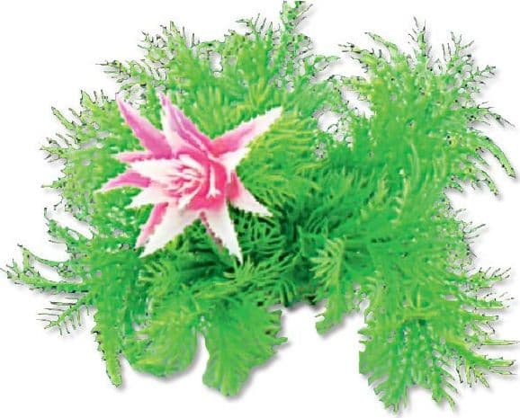 HAPPET HAPPET VÄXT FOLIA 10CM / 1F12