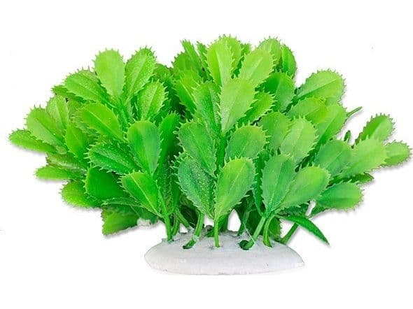 HAPPET HAPPET VÄXT FOLIA 10CM / 1F10
