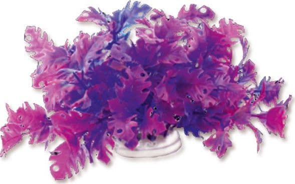 HAPPET HAPPET VÄXT FOLIA 10CM / 1F21