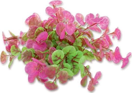 HAPPET HAPPET KASVI FOLIA 10CM / 1F11
