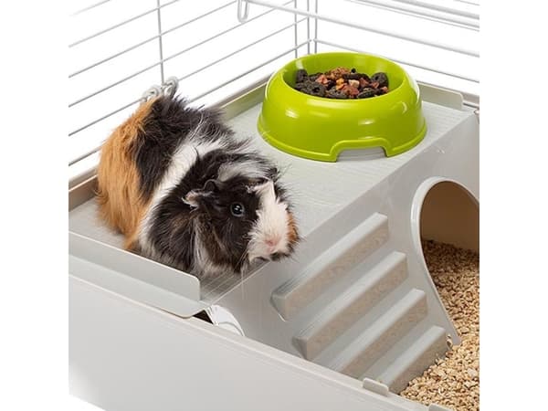 Ferplast CAVIE CAGE 80, 77x48x42 cm