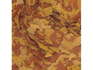 Tropical VITALITY & COLOR PUSZKA 100ml