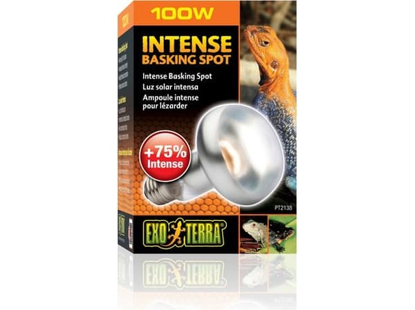 Bulb Intense Basking Spot 100W, 80mm