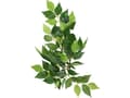Miniatyrbilde 3 av 4: Kunstig plante - Silk Ficus, S