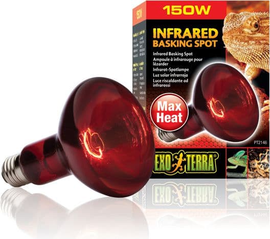 Infrarød Basking Spot pære R30/150W