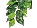 Miniatyrbild 1 av 3: Konstgjord växt - Silk Ficus, L