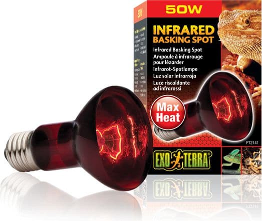Pære Infrarød Basking Spot R20/50W