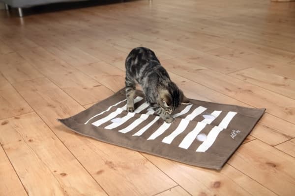 Trixie Katt Aktivitetsfilt, 70 × 50 cm, brun/grädde