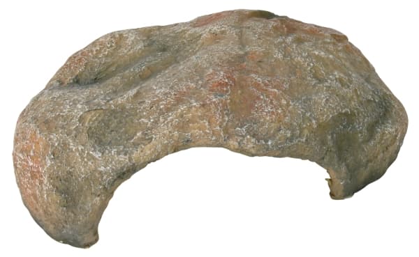 Trixie Reptilhus, hule 30 × 10 × 25 cm