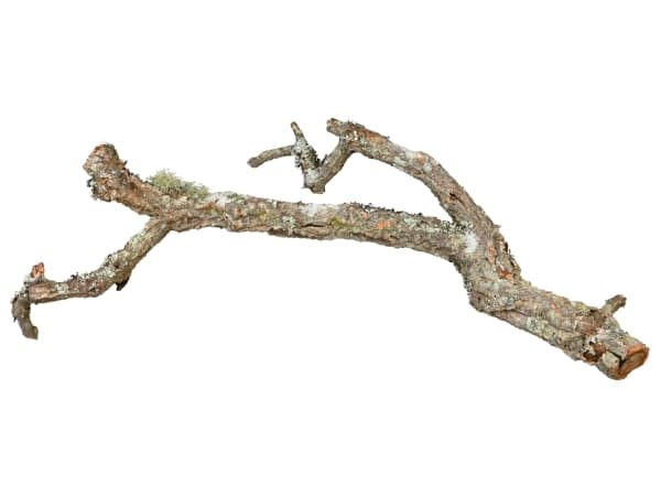 Trixie Tronchos, mixed cork-branches, natural 15 kg