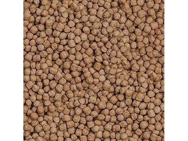Sera Koi Royal Large 21 l, granulat - pokarm postawowy dla Koi