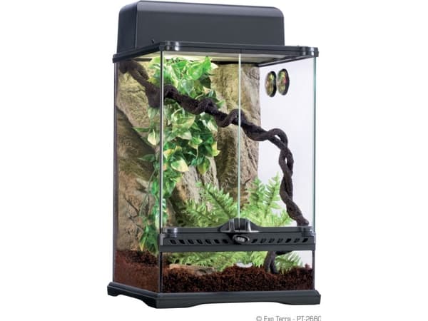 HAGEN EXOTERRA LIANA L