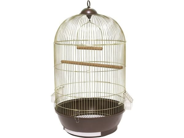 Panama Pet Fågelbur 40x40x70 cm guld/brun