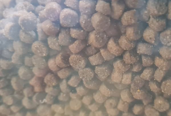 Siilin rehu - 3 vuodenaikaa 1,6 kg