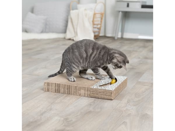 Trixie Scratching cardboard with toys, 38 × 30 cm, white