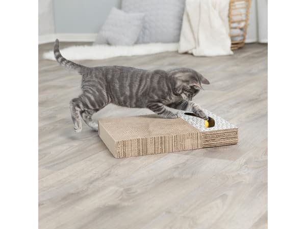 Trixie Scratching cardboard with toys, 38 × 30 cm, white