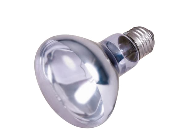 Trixie Neodyme varmepære UV-A, 100W