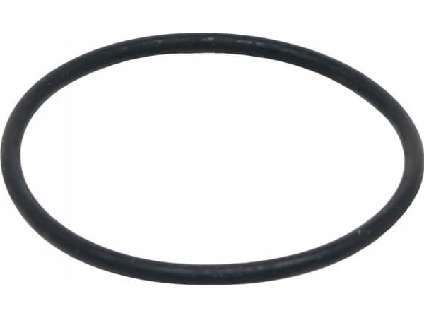 Fluval Motorpakning, O-ring for FX-filtre - A20207