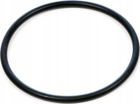 Fluval Motorpakning, O-ring for FX-filtre - A20207