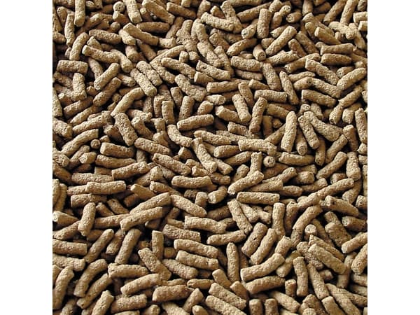 sera 07190, Lampikalat, Kuiva kalanruoka, Pelletti, A-vitamiini, B1-vitamiini, B2-vitamiini, C-vitamiini, D3-vitamiini, E-vitamiini, Suuri, Keskikoko