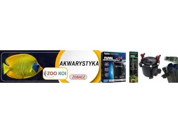 Exo Terra Deep Forest LED-pære 4500K, 8W