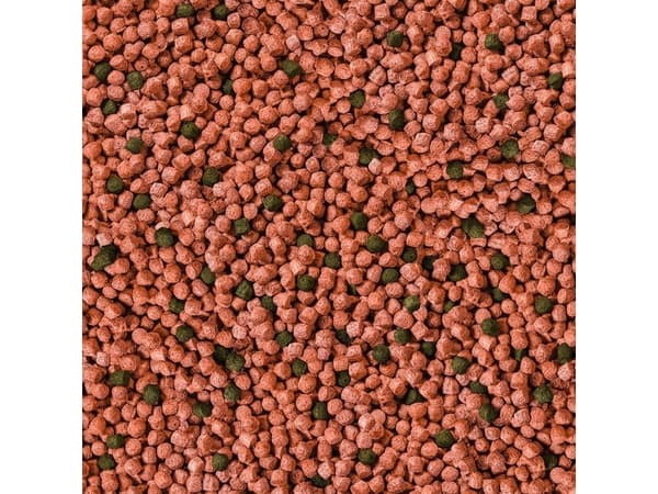 sera Koi Junior All Seasons Probiotic, Dammfisk, Torr fiskmat, Pellets, Vitamin A, Vitamin B1, Vitamin B2, Vitamin C, Vitamin D3, Vitamin E, Liten, 8
