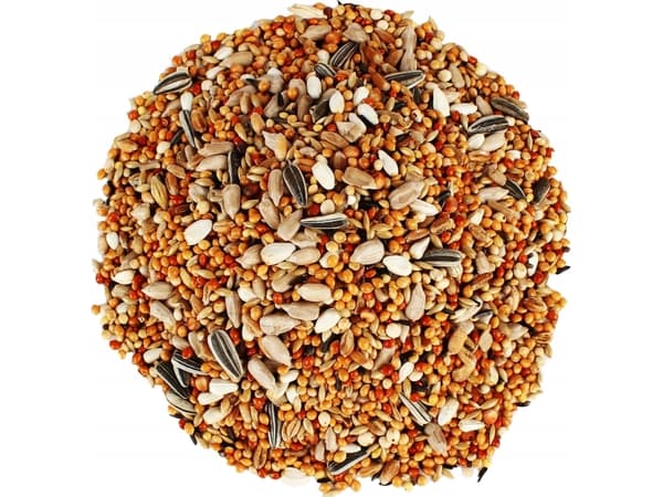 Garden&Fun Ruoka talvehtiville luonnonvaraisille linnuille Garden 2,4 kg monikäyttöinen ruokalaji