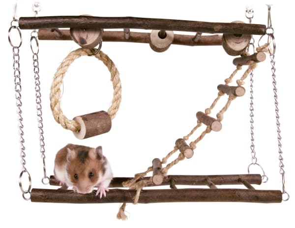 TRIXIE 61650, Hiiri, hamsteri, puu, puu, 1 kpl, 270 mm, 70 mm
