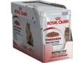 Miniatyrbild 4 av 4: Royal Canin FHN Instinctive i gelé - våtfoder för vuxna katter - 12x85g