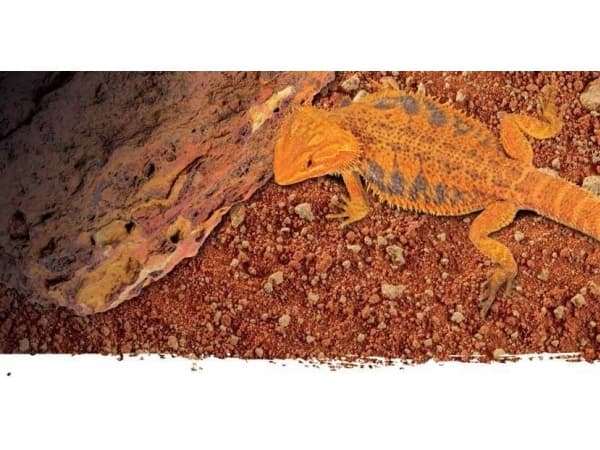 Exo Terra Exo Terra Stone Desert Substrat, Red Desert, 10 kg