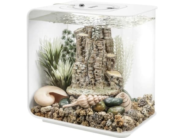 OASE biOrb 86372 biOrb Decor Set Forest Rhythym Akvariepynt