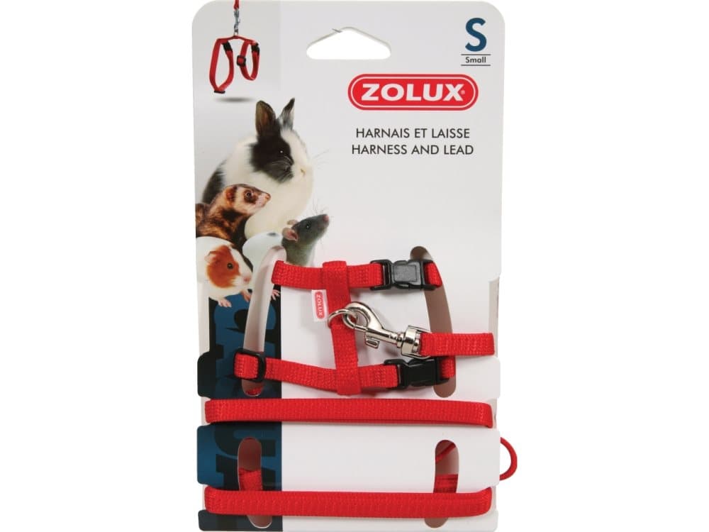 Zolux Harness and leash for rat S, red color