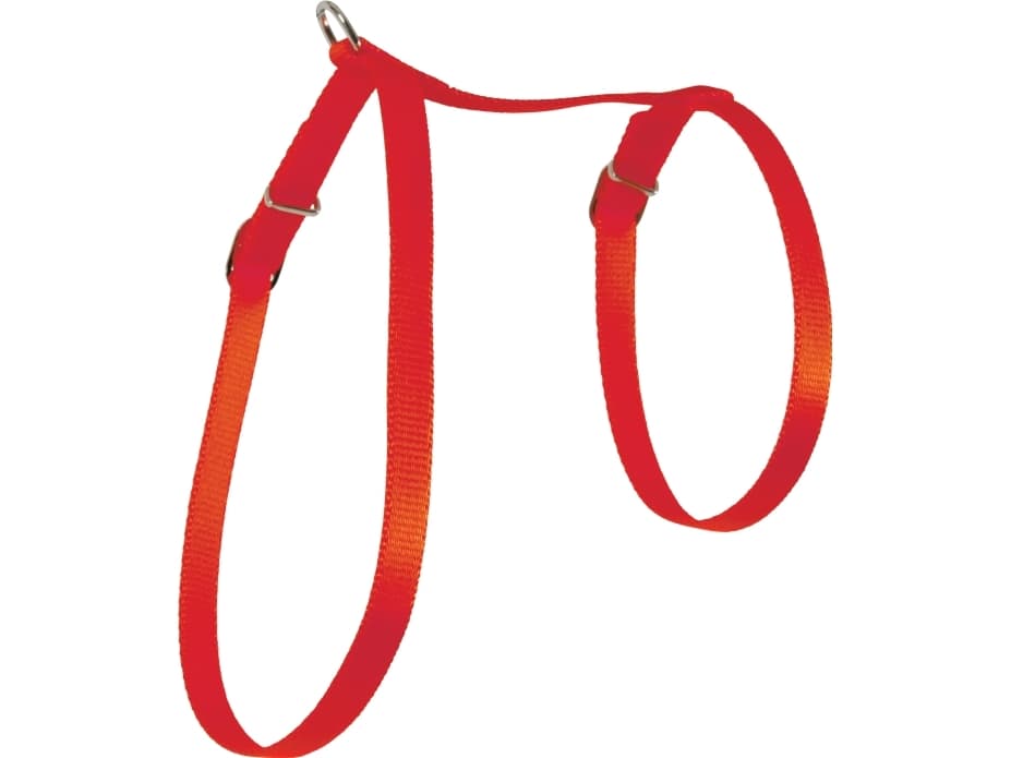 Zolux Cat harness 10mm nylon red